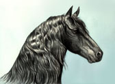Friesian, Equine Art - Determination (Friesian)